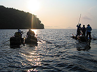 IMG_0529_thumb.jpg